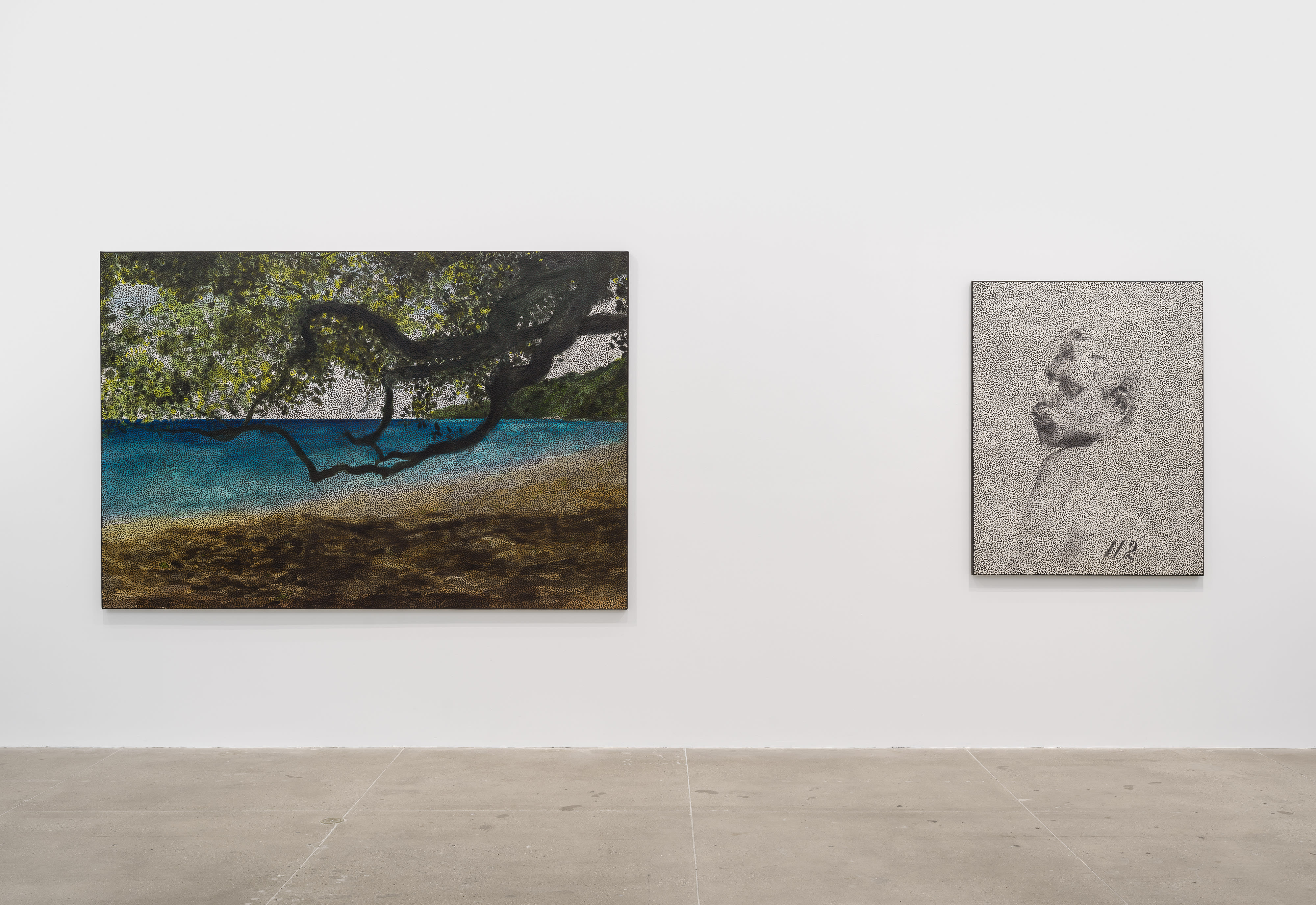 Daniel Boyd | Dreamland | Marian Goodman