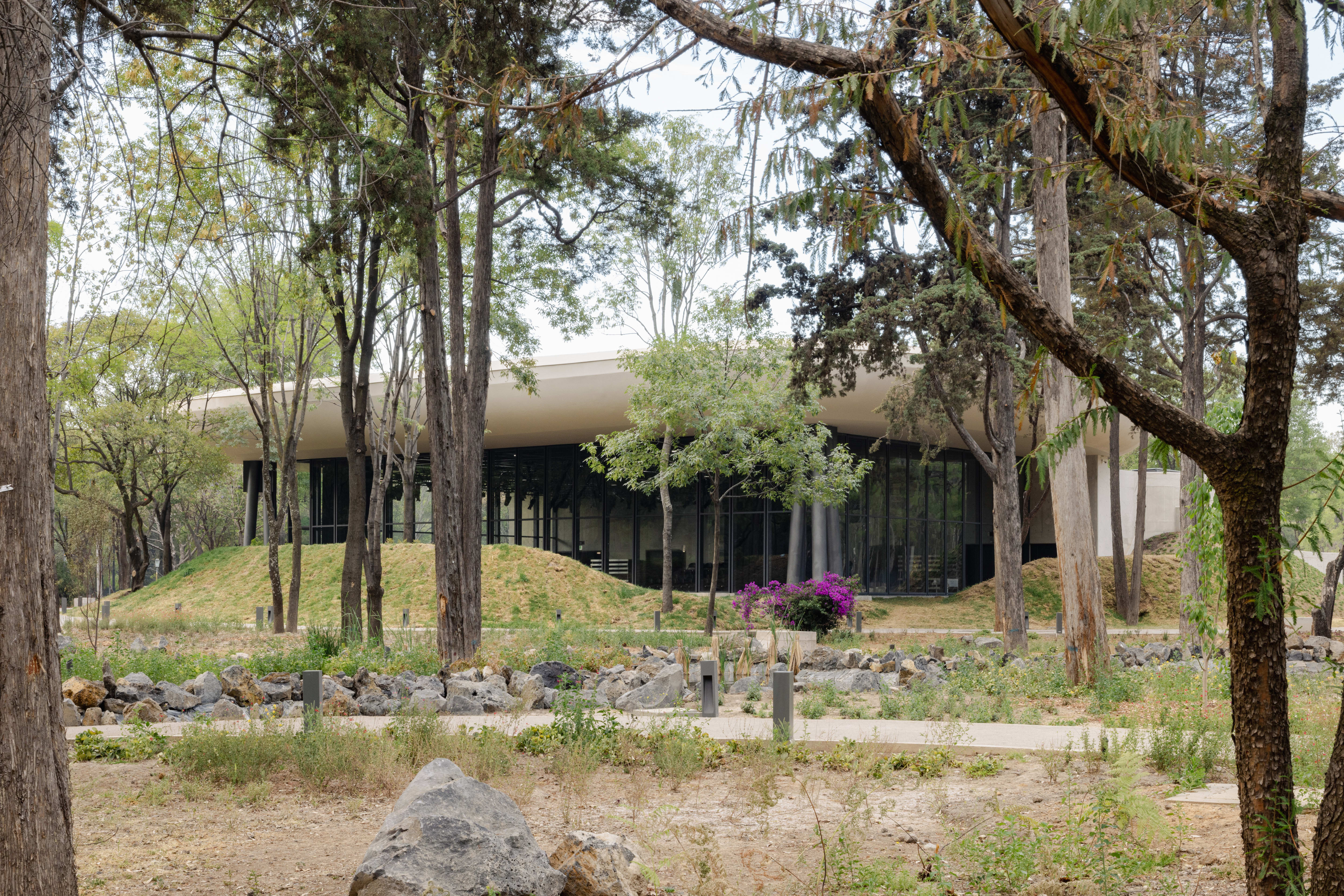 Detail of Pabellón y Jardín Escénico