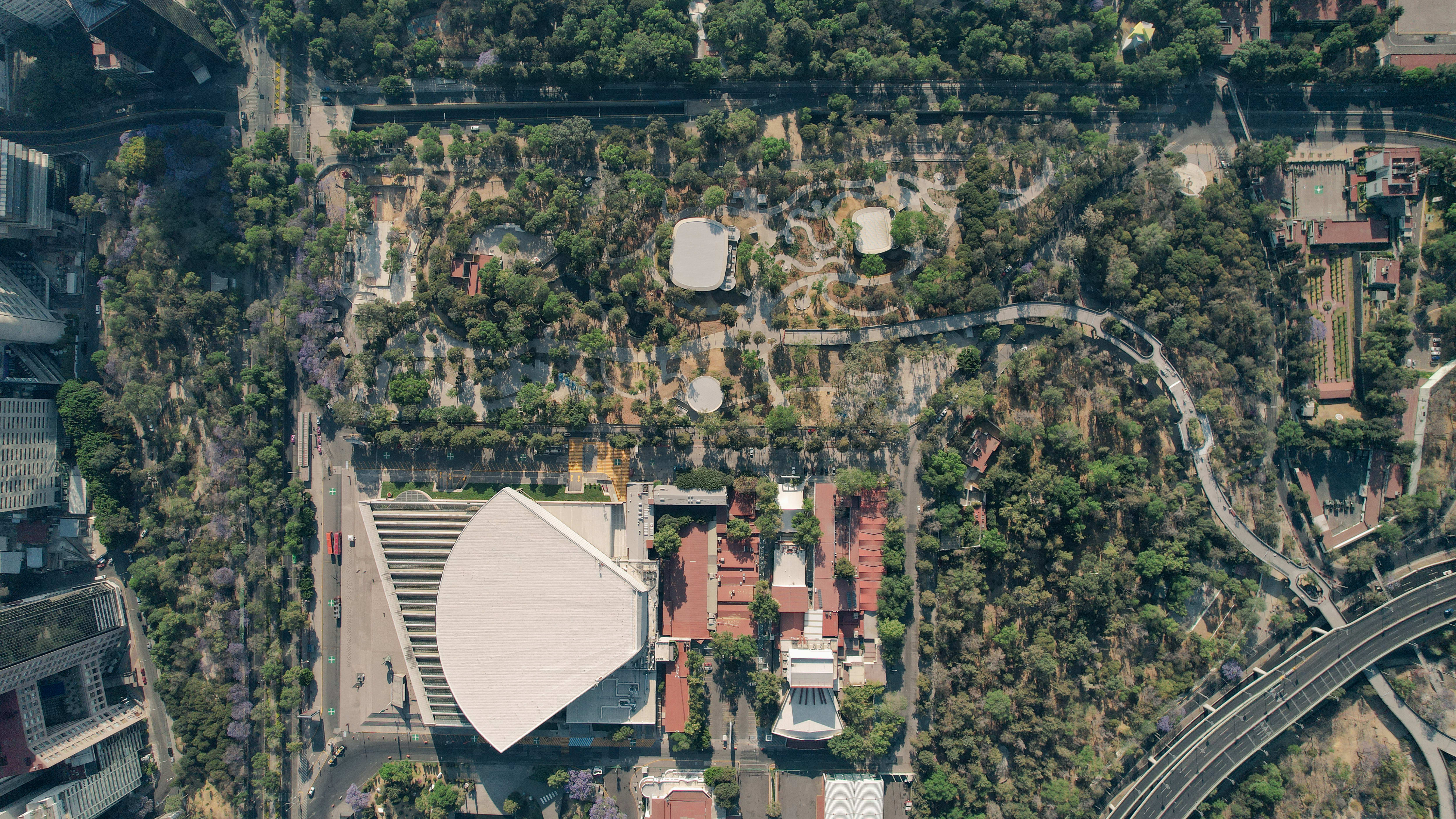 Aerial View of Chapultepec Forest