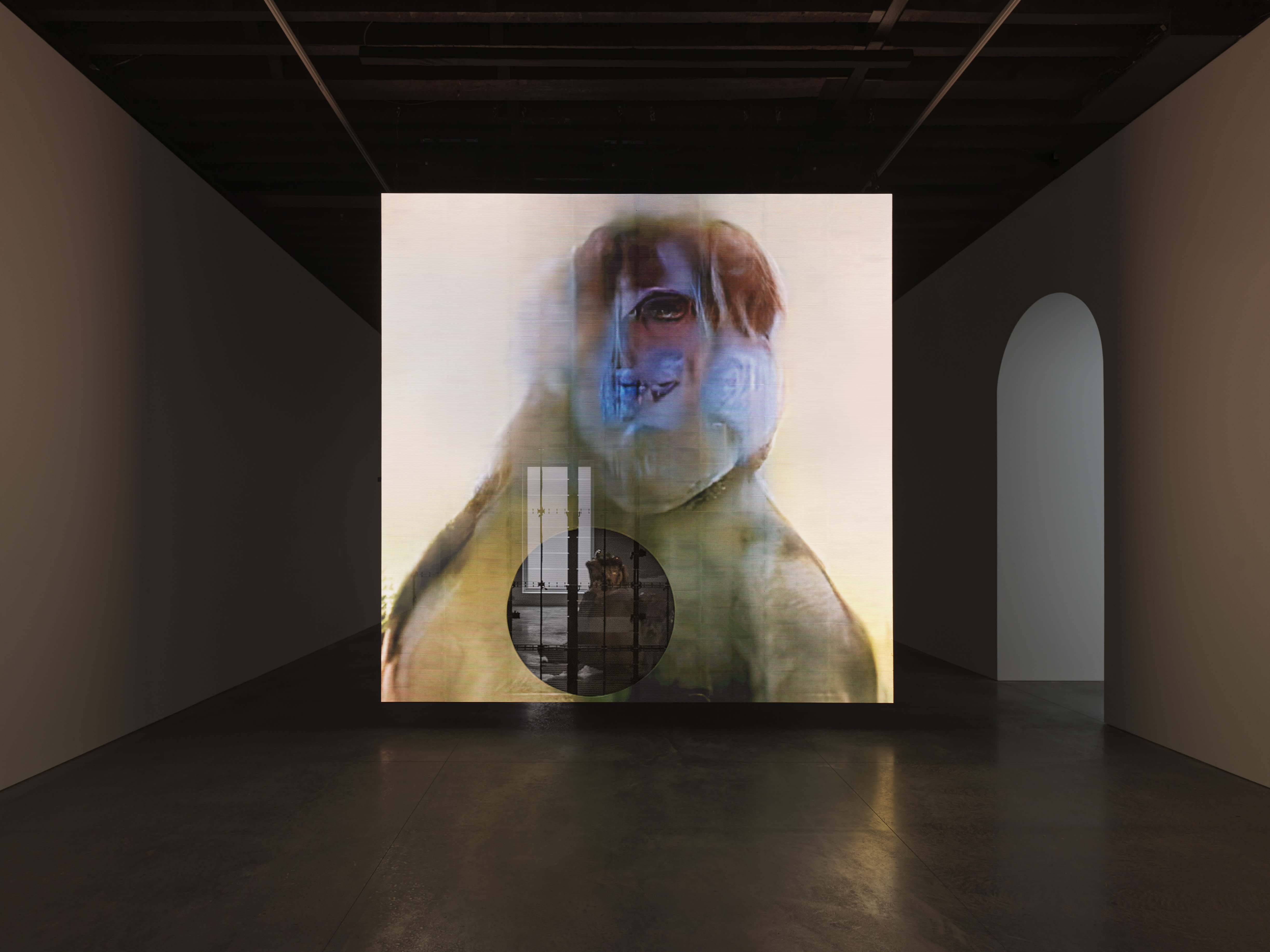 Installation view, Annlee – UUmwelt, 2018 - 2024