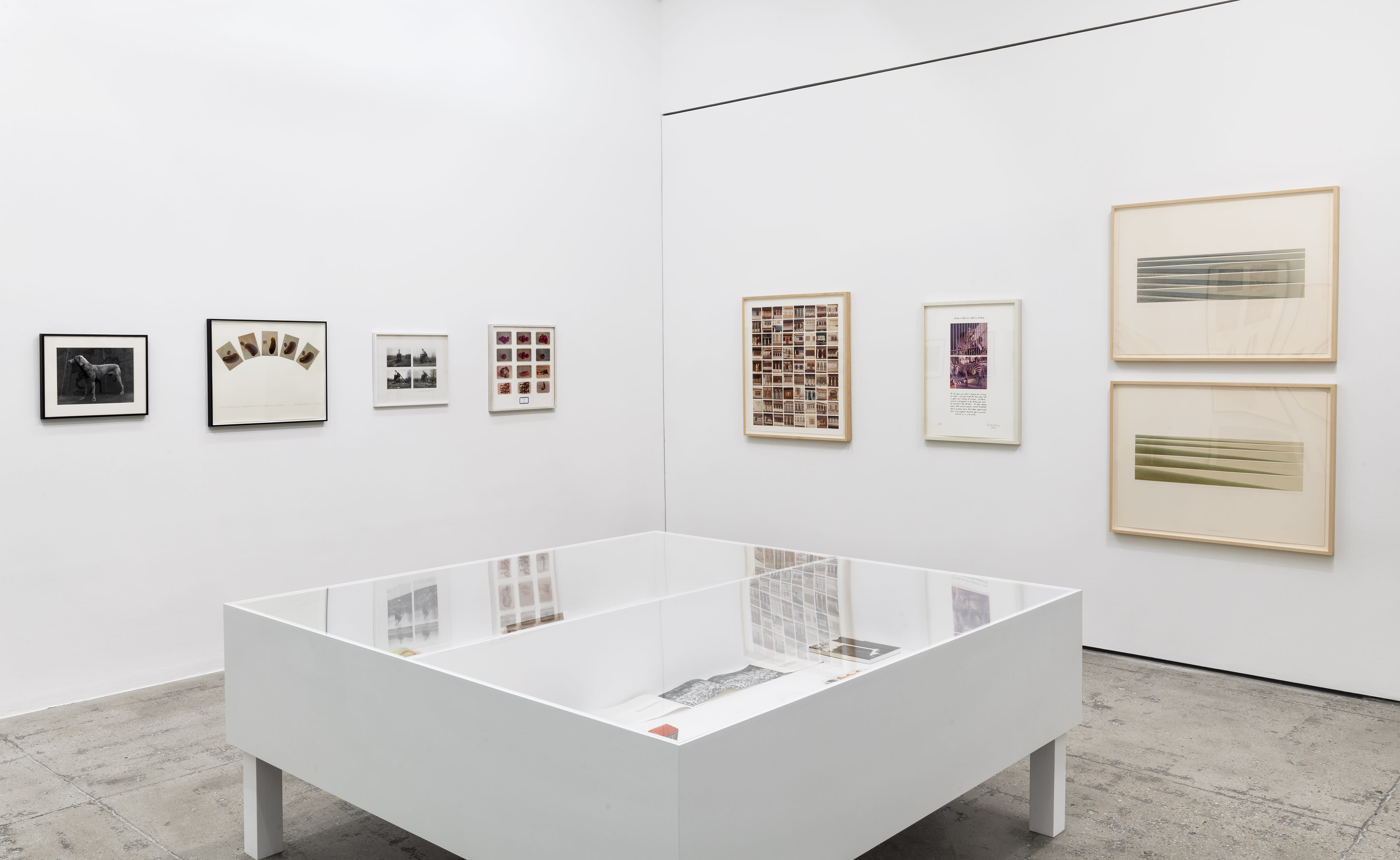 An installation view of Multiples, Inc. at Marian Goodman Gallery, NY, January 2021