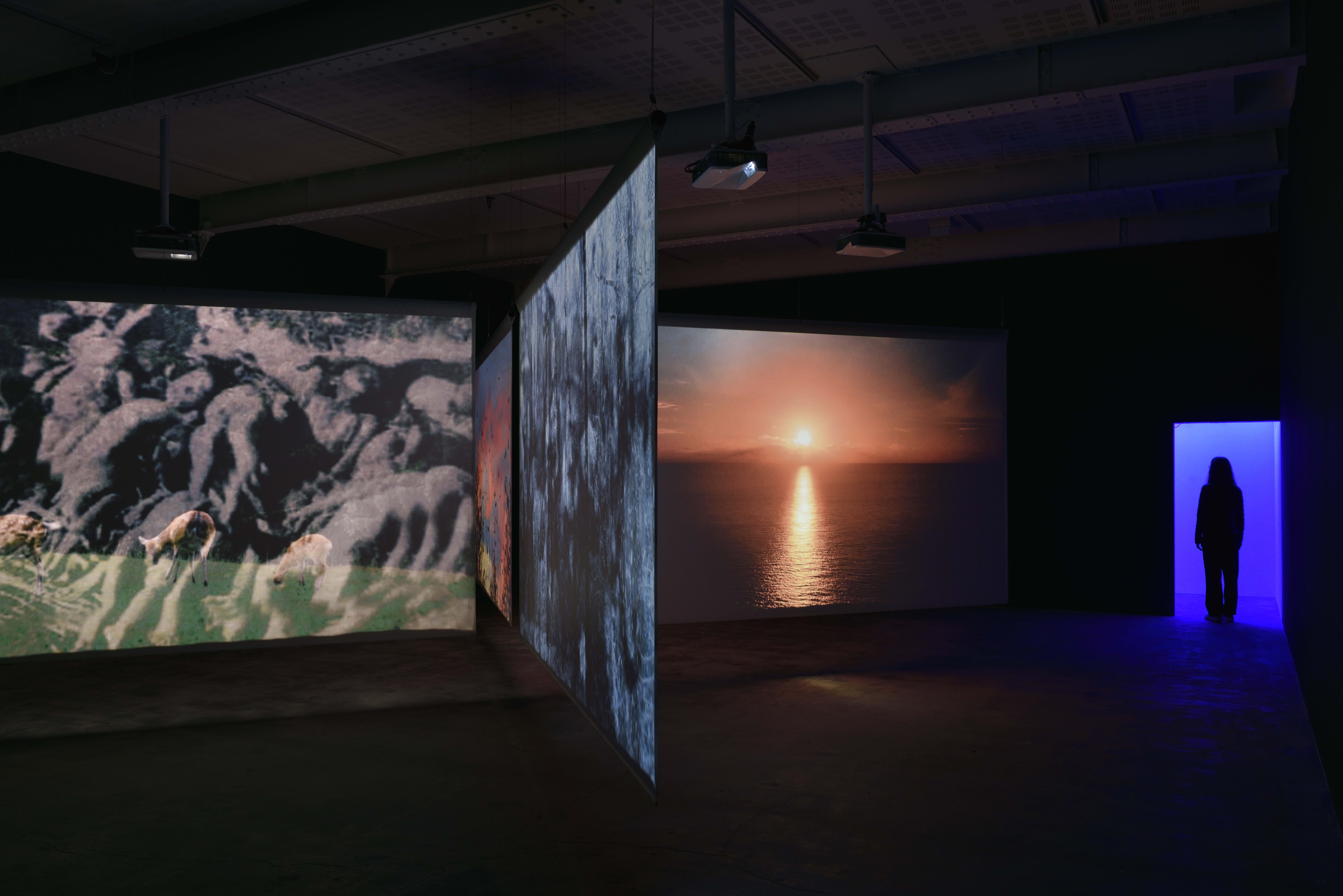 Multi-channel projection in a darkened room by Christian Boltanski