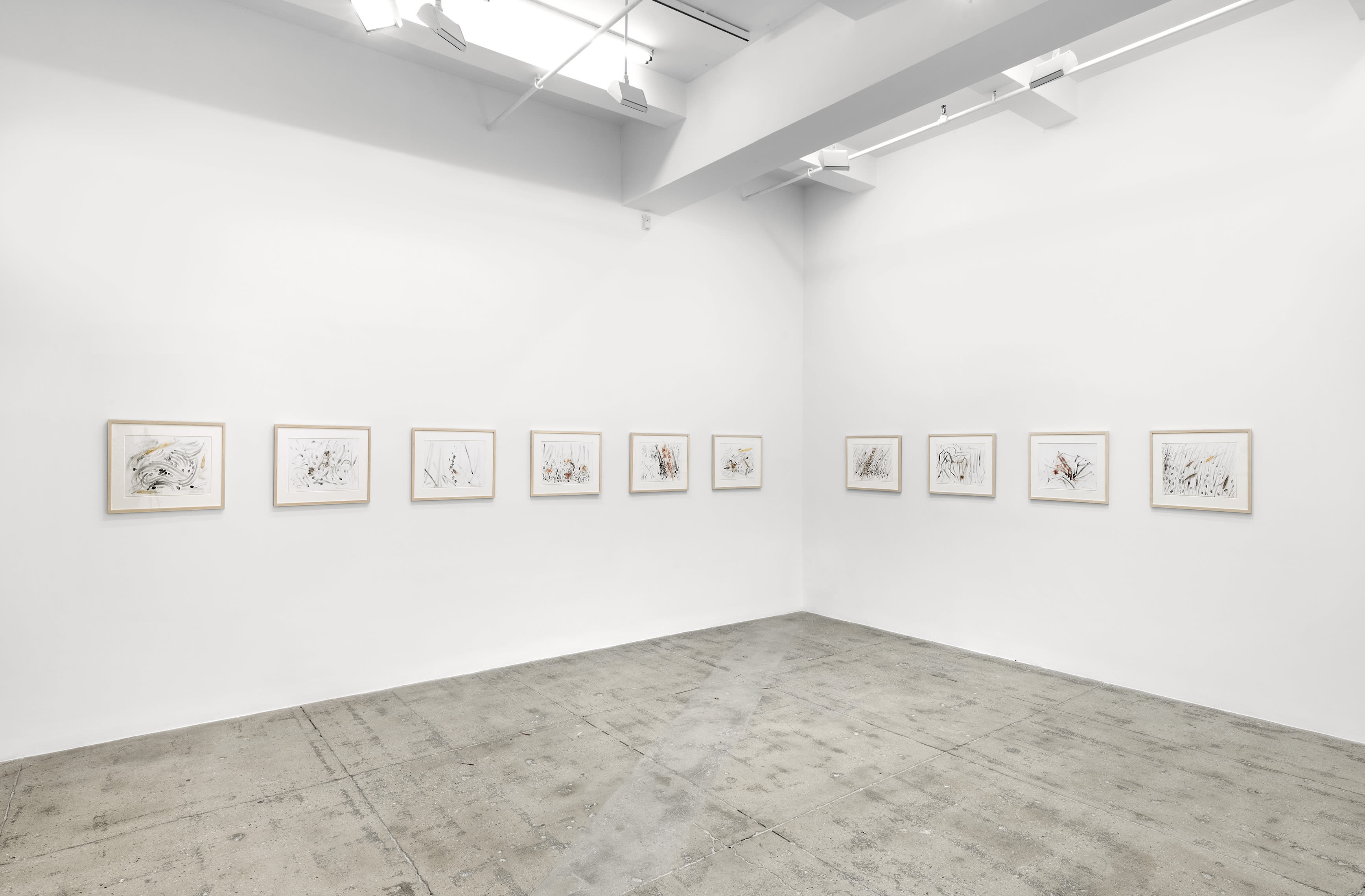 Installation view, North Gallery Viewing Room