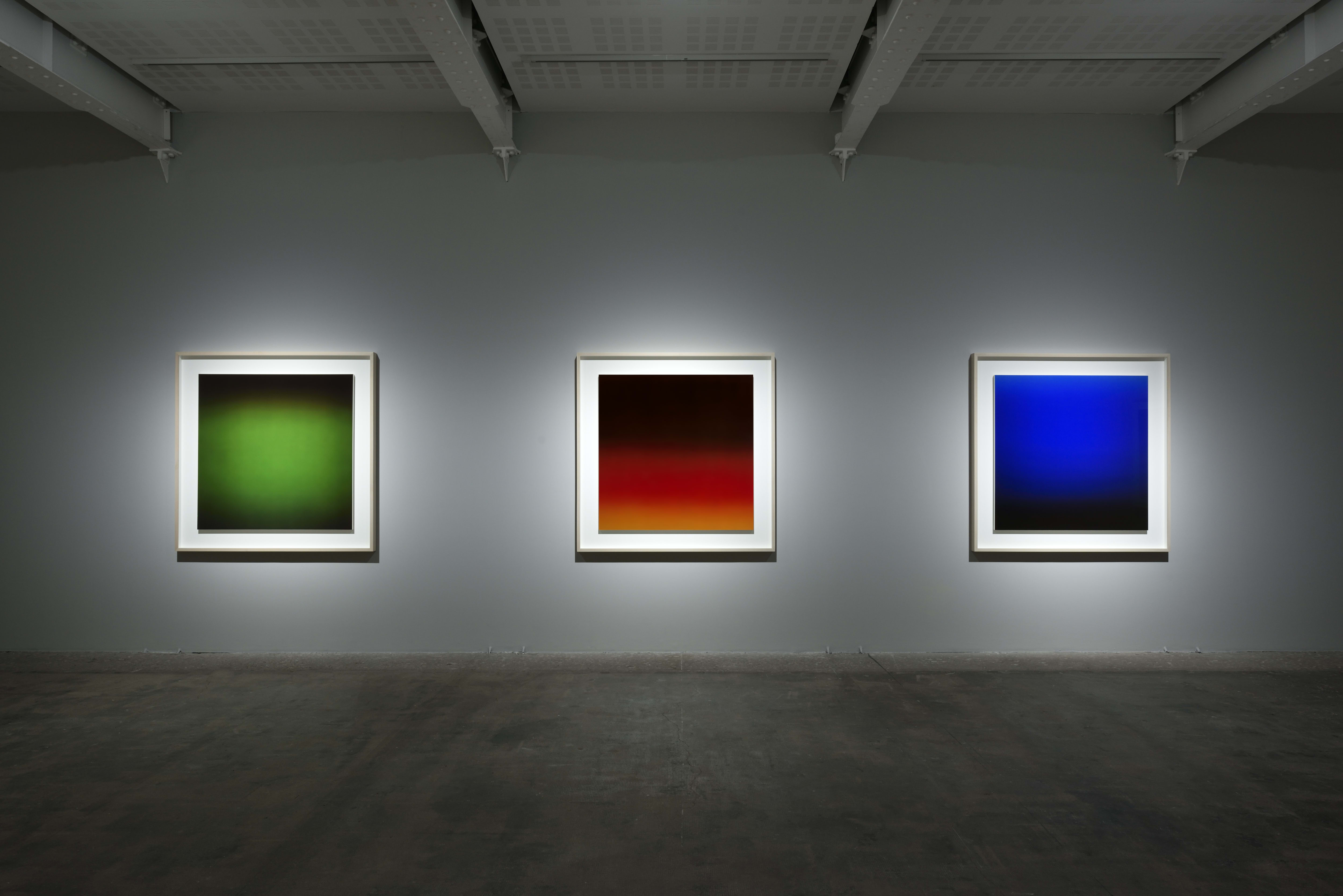 Installation view, Lower Gallery