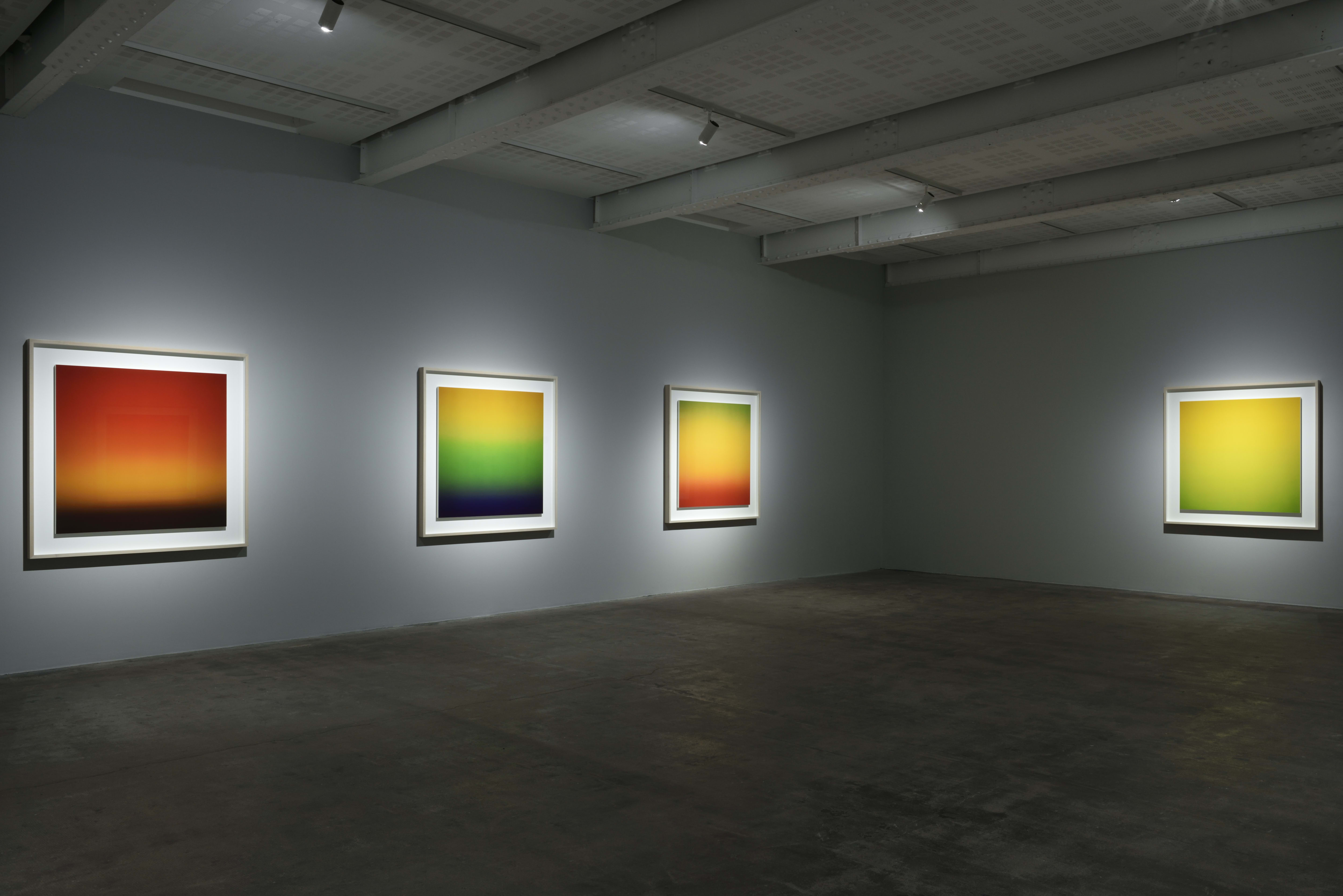 Installation view, Lower Gallery