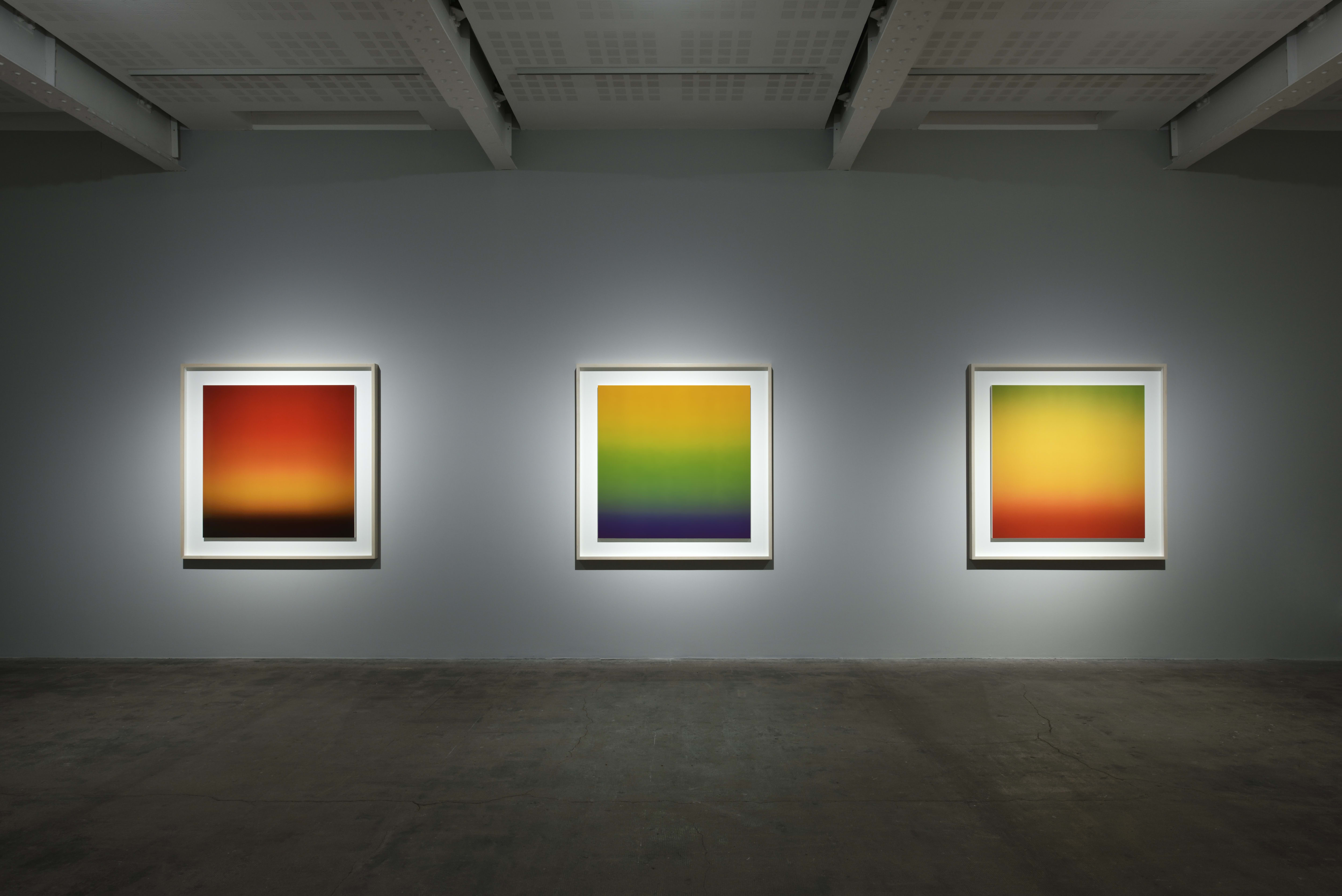 Installation view, Lower Gallery