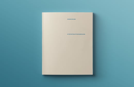 Edward Holland: At the Bottom of the Celestial Sea catalogue