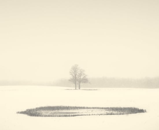 Peter Dušek, Frozen Pond 2/25, 2014