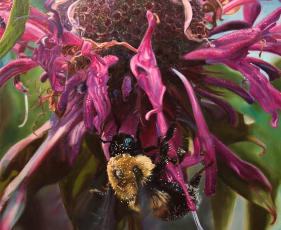 Jennifer Walton, Bumblebee, 2018