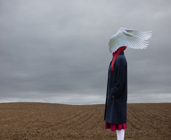 Patty Maher, Icarus Revisited 1/5, 2020
