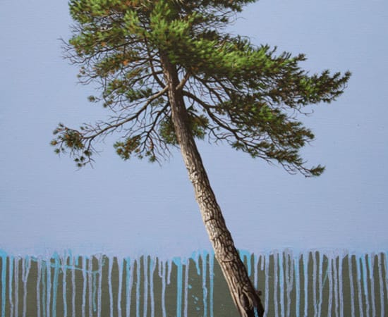 Duane Nickerson, Leaning Pine, 2016