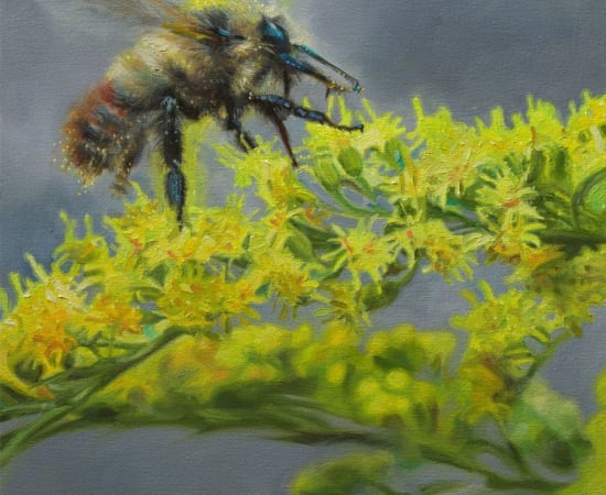 Jennifer Walton, Goldenrod with an Orange-Striped Bumblebee, 2022