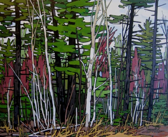 Thomas Chatfield, Pine Among the Birches