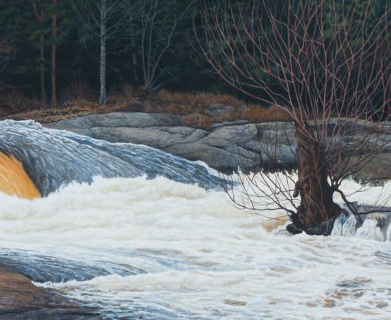 D.A. Dunford, Dogwood