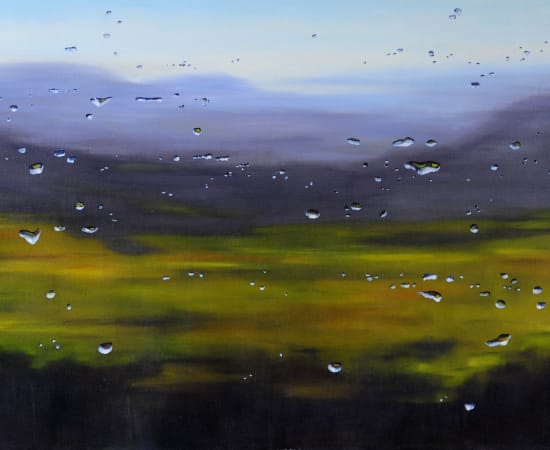 Barbara Amos, Surface Tension: Valley Meadow, 2014