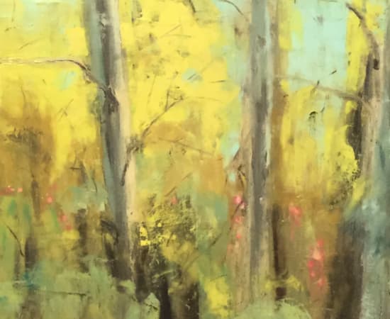 Barbara Amos, Spring forest 1