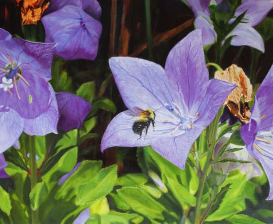 Jennifer Walton, Earthly Delights (Balloon Flower with Small Bumblebee), 2021