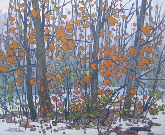 Thomas Chatfield, Light Snow