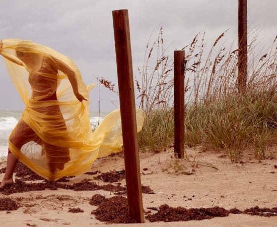Nika Belianina, Tangled by Sandy Winds, Yellow, 2017