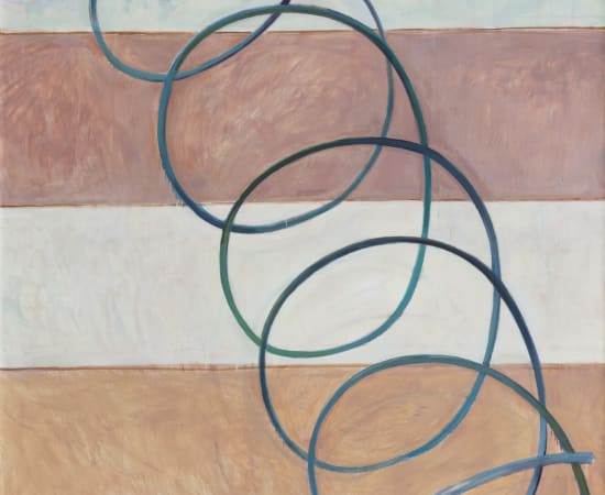 翟倞 Zhai Liang, 历史总是螺旋上升 History is always spiraling, 2017