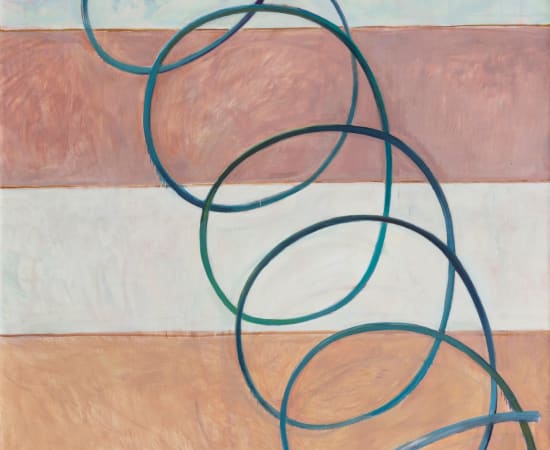 翟倞 Zhai Liang, 历史总是螺旋上升 History is always spiraling, 2017