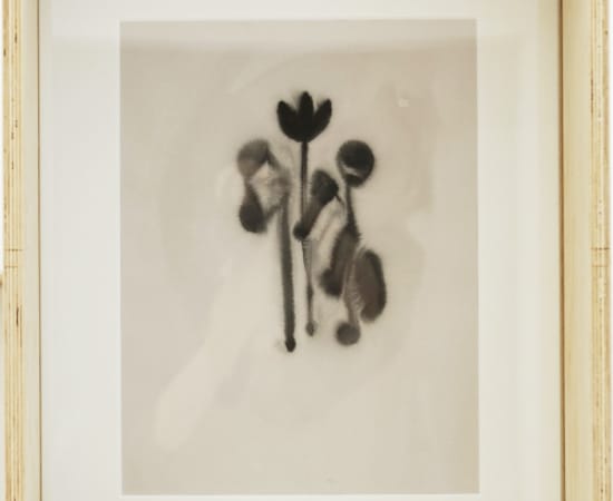韩梦云 Han Mengyun, 玉屑集4 Splinters of Jade 4, 2018