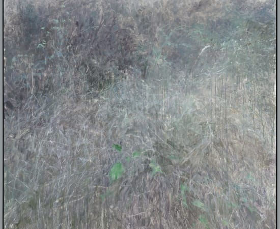 何多苓 He Duoling, 原上草系列 Grass on the Meadow , 2020-2021