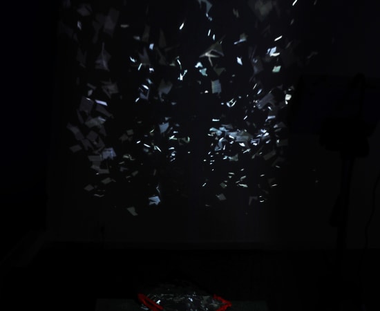 陈萧伊 Chen Xiaoyi, 在迷狂中观看 Watching in the divine madness , 2017