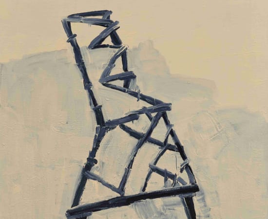 王川 Wang Chuan, 色身系列 Rupakaya Series