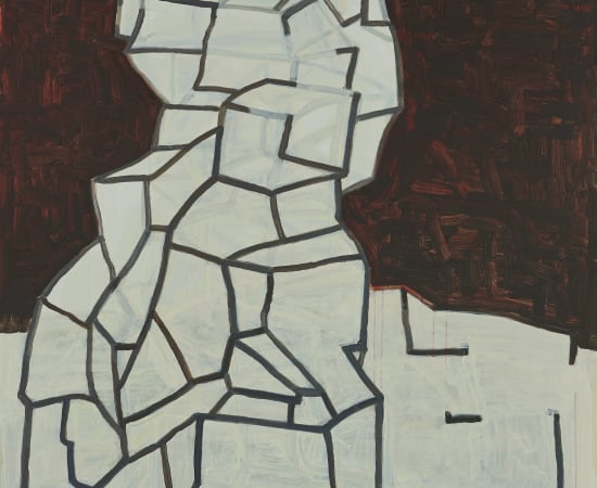 王川 Wang Chuan, 盒子系列 Box Series