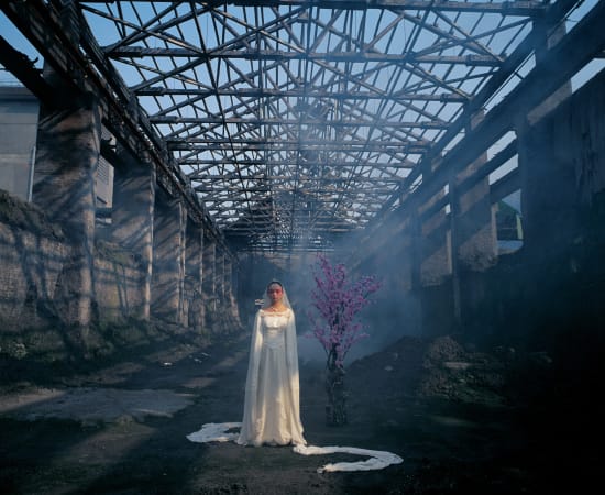 陈秋林 Chen Qiulin, 桃花 Peach Blossom, 2009
