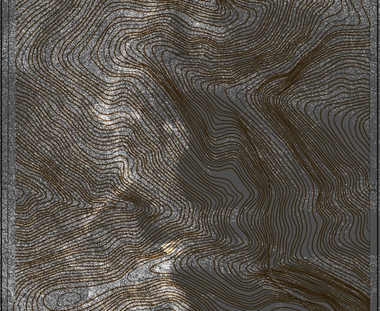 陈萧伊 Chen Xiaoyi, 俯瞰者系列 Kataskapos Series, 2021