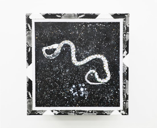 马文婷 Ma Wenting, 荒野插图：来自Michael Lundgren No.1 The Illustration of the Wild: From Michael Lundgren No.1, 2018