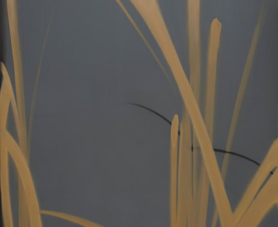 石佳韵 Shi Jiayun, Lines, 2020
