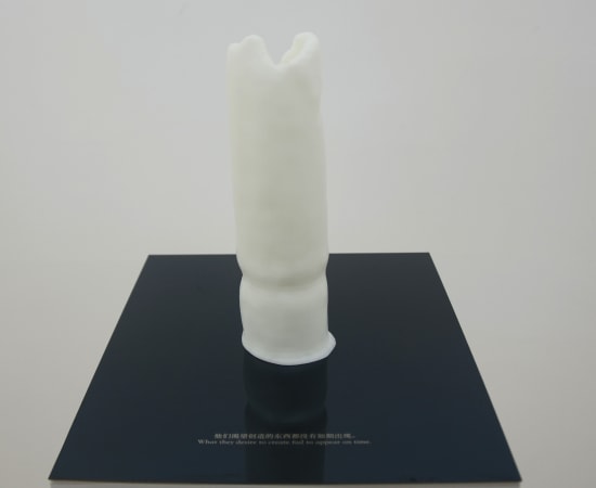 冯冰伊 Feng Bingyi, 时间切片博物馆 Time Slice Museum , 2016