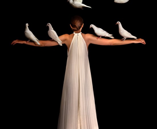 Miguel Vallinas, Palomas blancas, 2024
