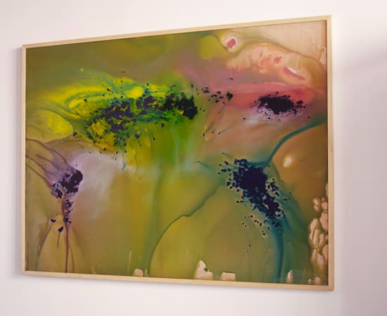 Cristina Gamón, Territories II, 2017