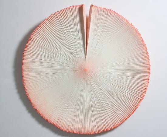 Heekyung Kim, Bloom 210919, 2021