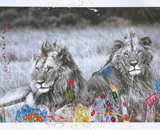 Hand-embellished archival print mixed media photography