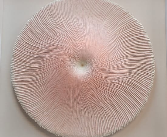 Heekyung Kim, Bloom 240105, 2024