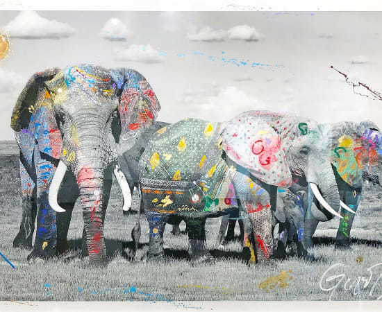 Arno Elias, Amboseli