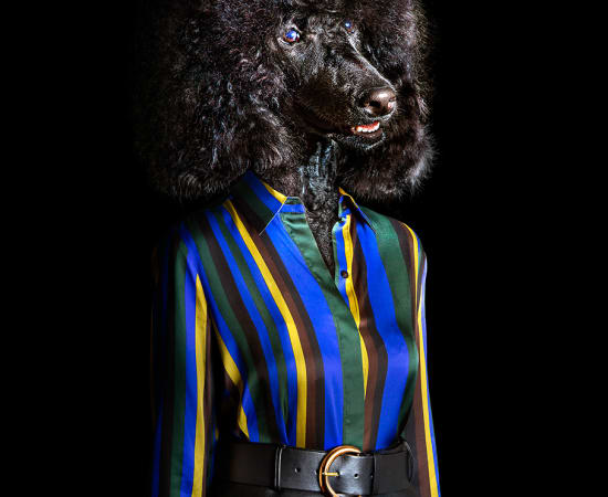 Miguel Vallinas, No. 3 (Lidia)