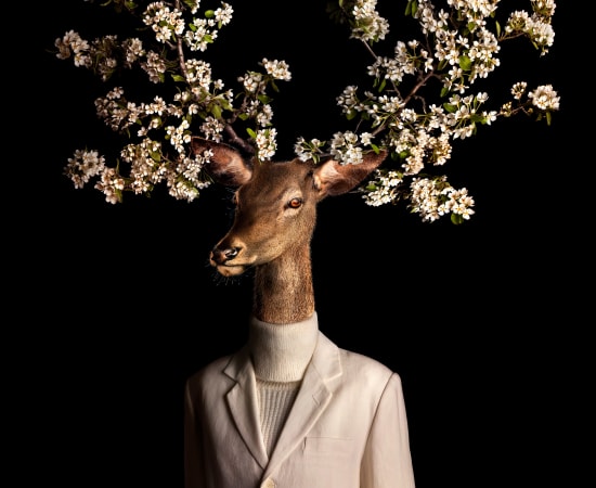 Miguel Vallinas, Ciervo en flor, 2024