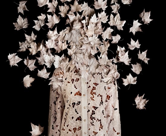 Miguel Vallinas, Otoño en blanco, 2024
