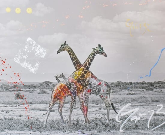 Arno Elias, Giraffe Duet