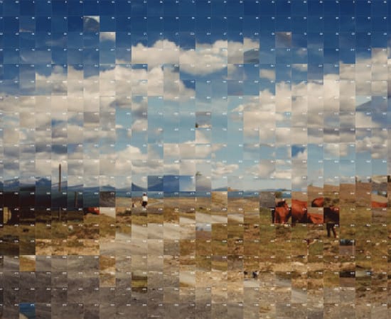 Rashid Rana, Landscape to a Landscape III (The Other Self), 2019