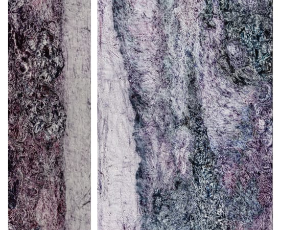 Mohit Shelare, Inorganic world contaminating time, 2024