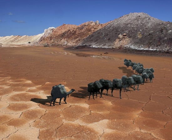 Archana Hande, The Golden Feral Trail Location: Laverton, Western Australia Wangai Land Indian Ocean Trade, 2013-14