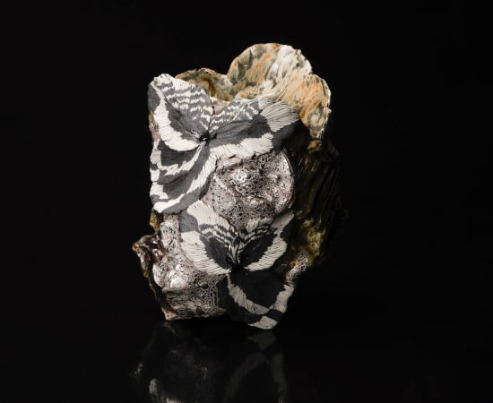 Shingu Sayaka 新宮さやか, No.5 "Calyx" water jar 萼容 水指, 2024