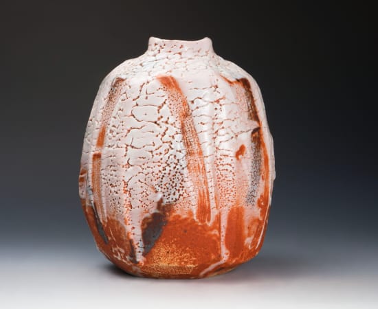 Hayashi Shotaro 林正太郎, Shino flat jar
